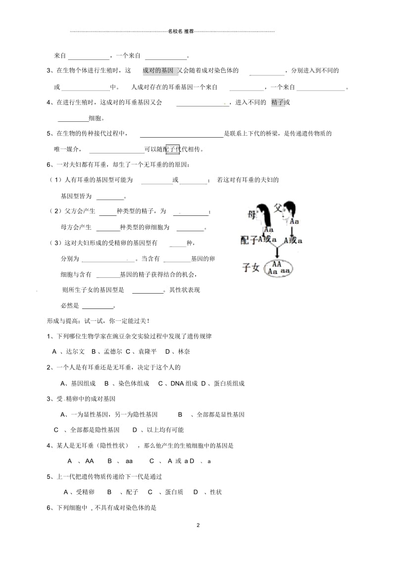 四川省成都市青白江区祥福中学八年级生物上册20.3性状遗传有一定的规律性名师精编学案(无答案)北师大.docx_第2页