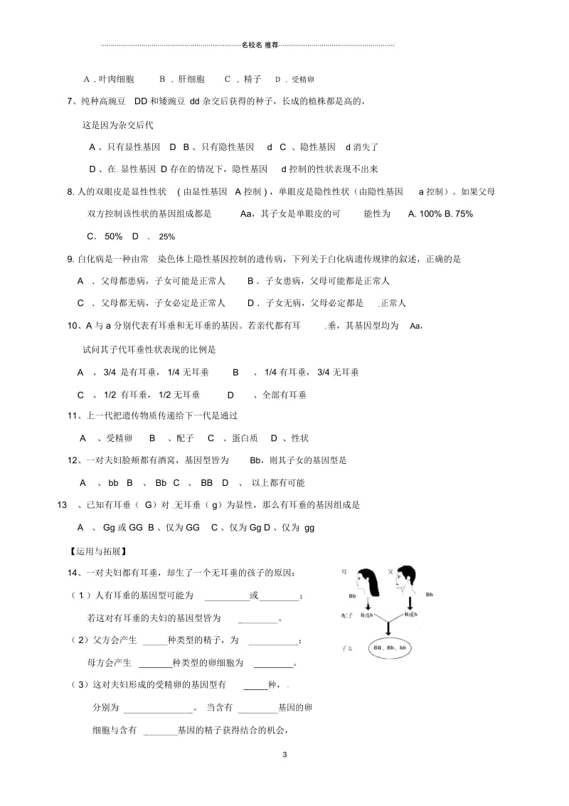 四川省成都市青白江区祥福中学八年级生物上册20.3性状遗传有一定的规律性名师精编学案(无答案)北师大.docx_第3页