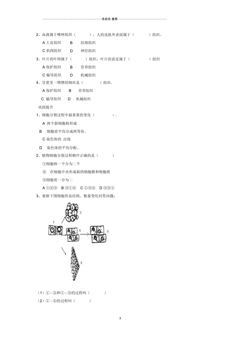 辽宁省灯塔市第二初级中学初中七年级生物上册2.4.1细胞分裂与分化名师精编导学案(无答案)(新版)苏教.docx_第3页