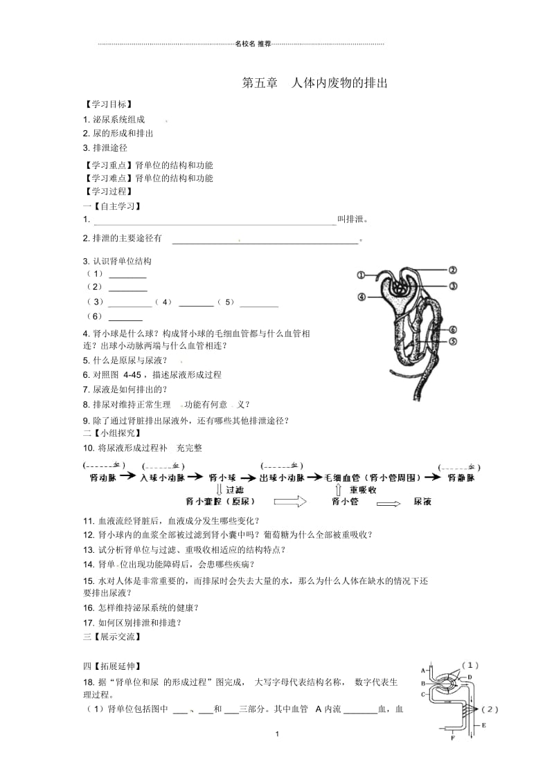 春初中七年级生物下册第四单元第五章人体内废物的排出名师精编学案无答案新版新人教版.docx_第1页