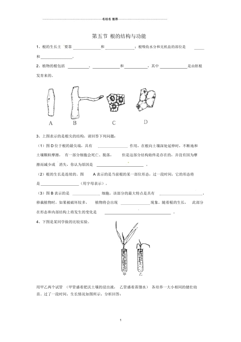 初中八年级生物上册第四单元第一章第5节《根的结构与功能》同步练习(新版)济南版精编版.docx_第1页