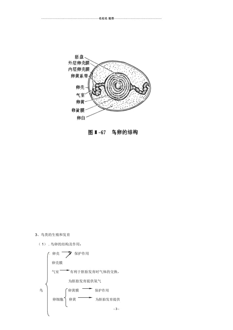 初中八年级生物上册第19章第2节动物的生殖和发育(复习提纲)精品名师精选教案北师大版.docx_第3页