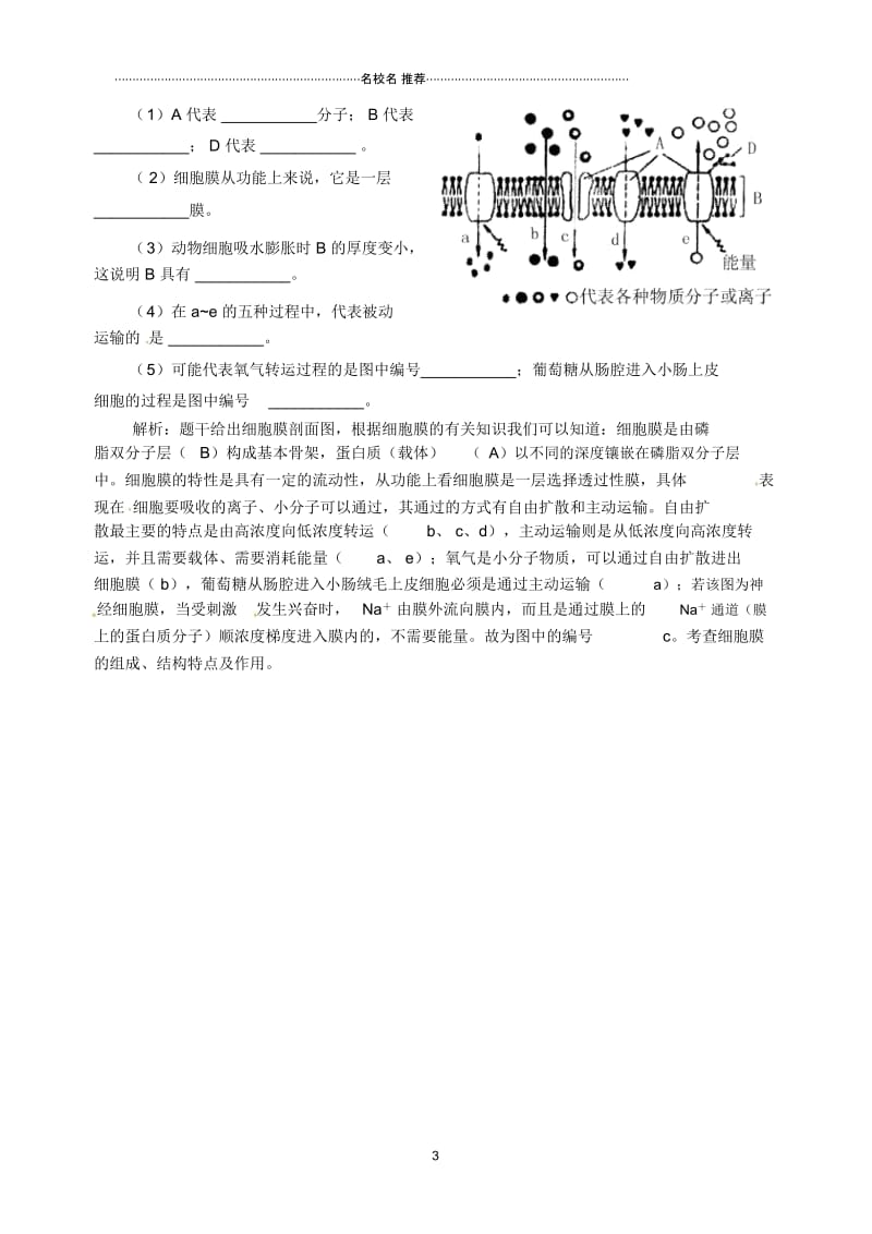 河南省沈丘县全峰完中高中生物第四章第3节《物质跨膜运输的方式》名师精选教案新人教版必修1.docx_第3页