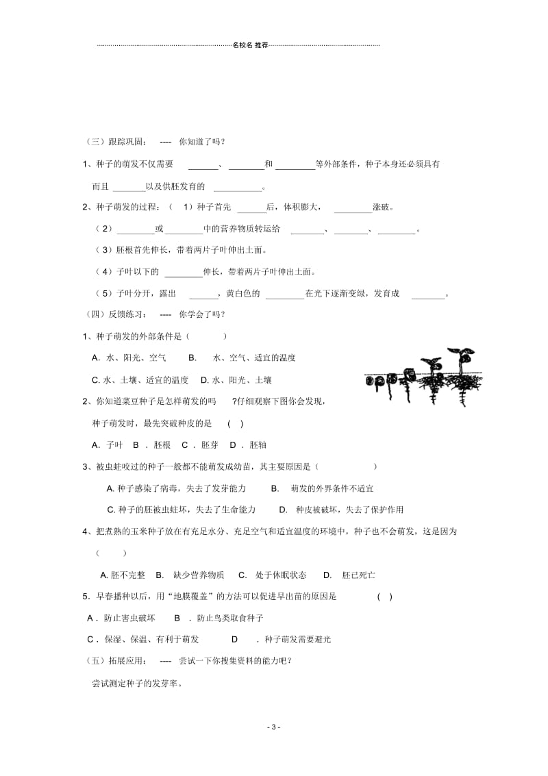 八年级生物上册1.4种子的萌发名师精编导学案济南版.docx_第3页