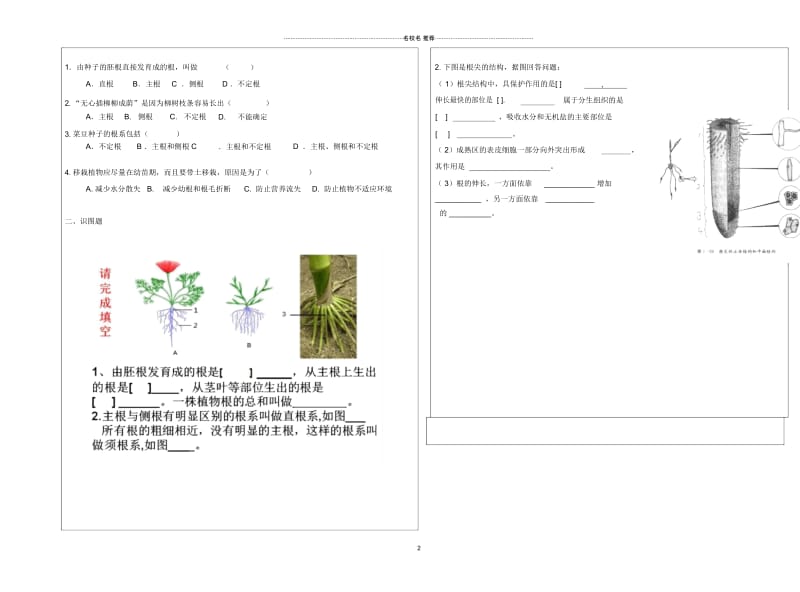 八年级生物上册第四单元第一章第五节根的结构与功能名师精编导学案(无答案)(新版)济南版.docx_第2页