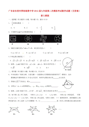 九年级数学第二次模拟考试试题无答案新人教版.doc