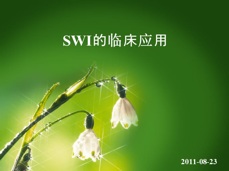 SWI的原理及临床应用.ppt_第1页