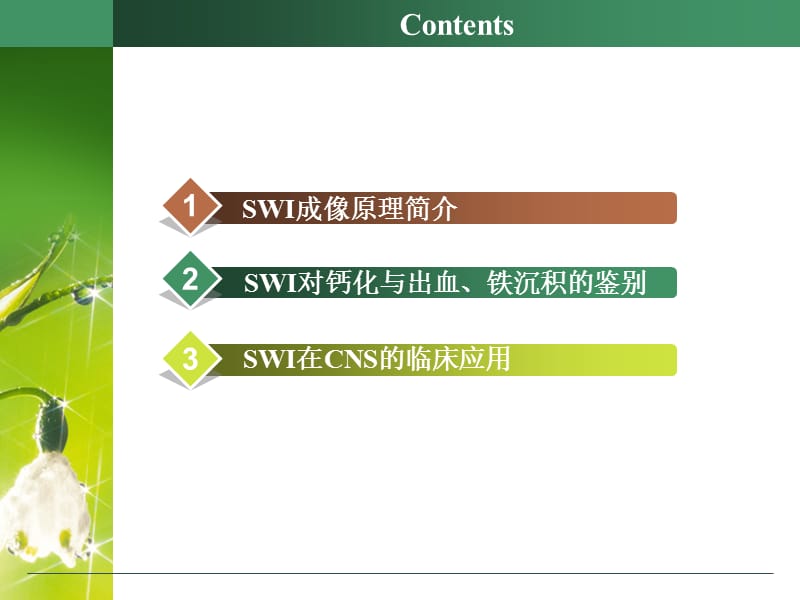 SWI的原理及临床应用.ppt_第2页