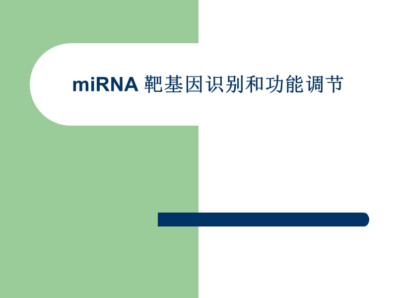 miRNA 靶基因识别和功能调节.ppt_第1页