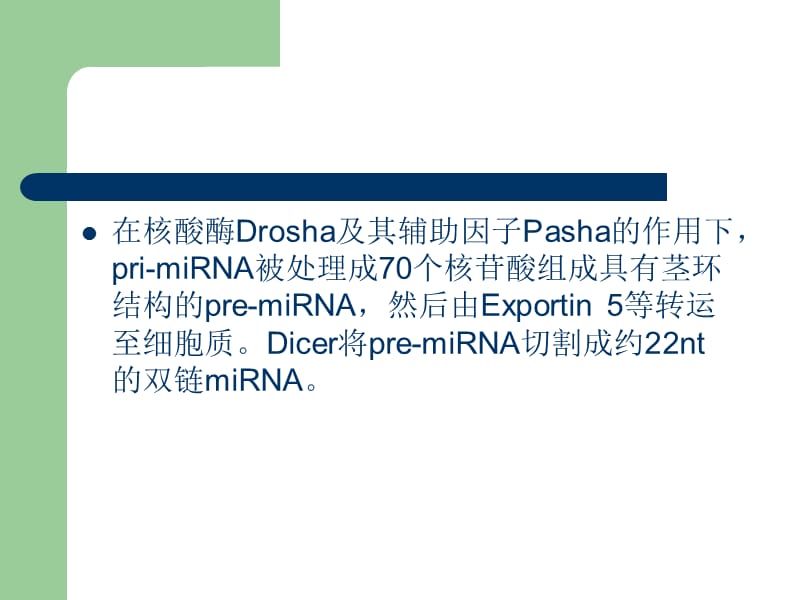 miRNA 靶基因识别和功能调节.ppt_第3页