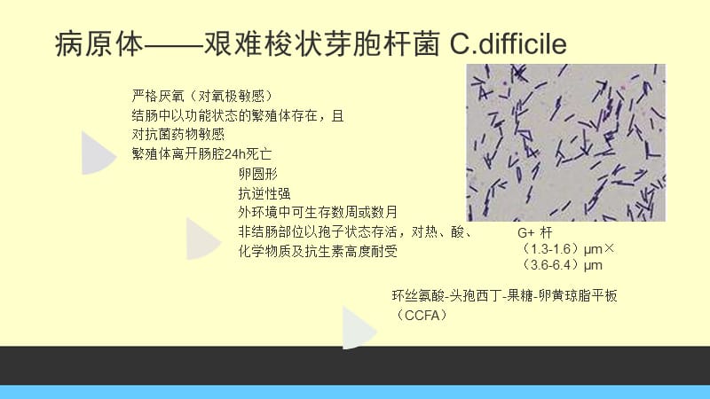 2.16 艰难梭菌感染.ppt_第3页