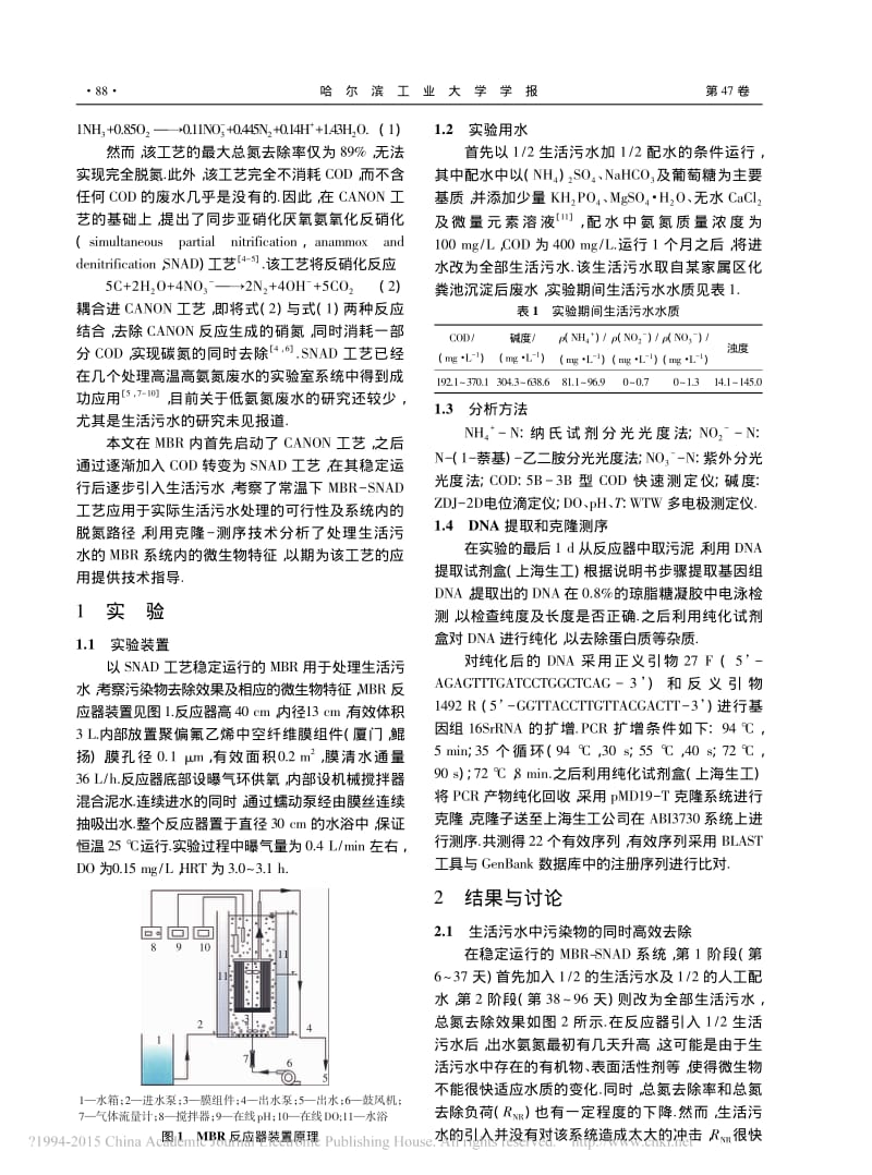 MBR_SNAD工艺处理生活污水效能及微生物特征_张肖静.pdf_第2页