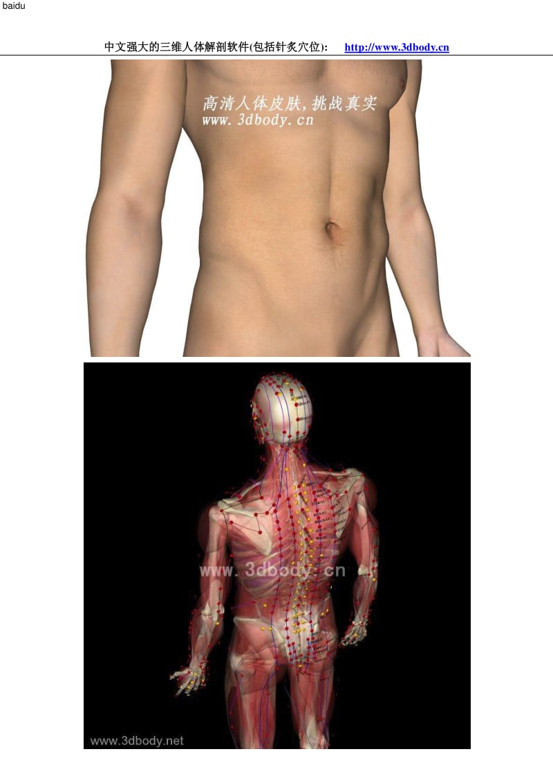 3D针灸穴位图+人体解剖图(经典收藏).pdf_第1页