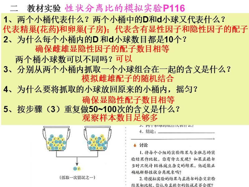 二轮遗传规律专题复习.ppt.ppt_第2页