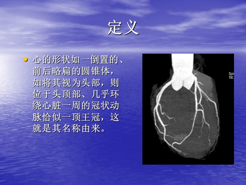 冠状动脉的正常生理与解剖.ppt_第2页