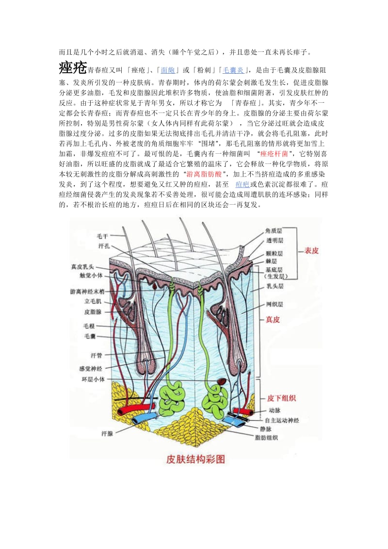 皮肤病常见分类和症状.doc_第3页