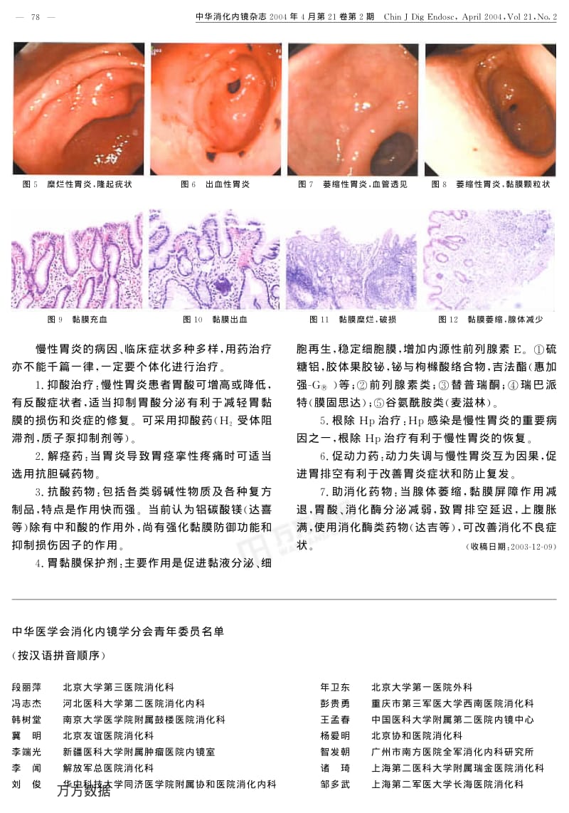 慢性胃炎的内镜分型分级标准及治疗.pdf_第2页