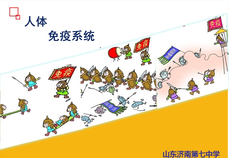 人体的免疫系统.ppt公开课.ppt_第3页