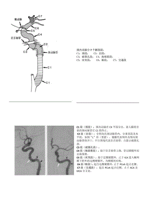 脑血管解剖与分段详解.pdf