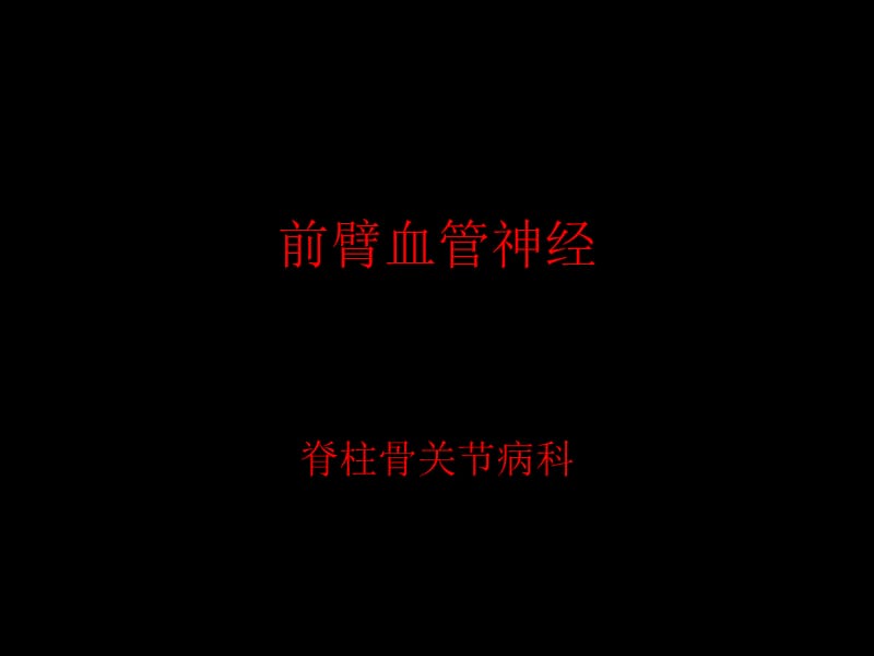 前臂血管神经.ppt_第1页