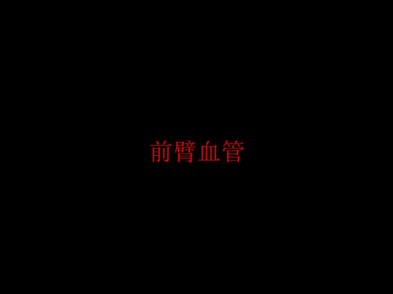 前臂血管神经.ppt_第2页