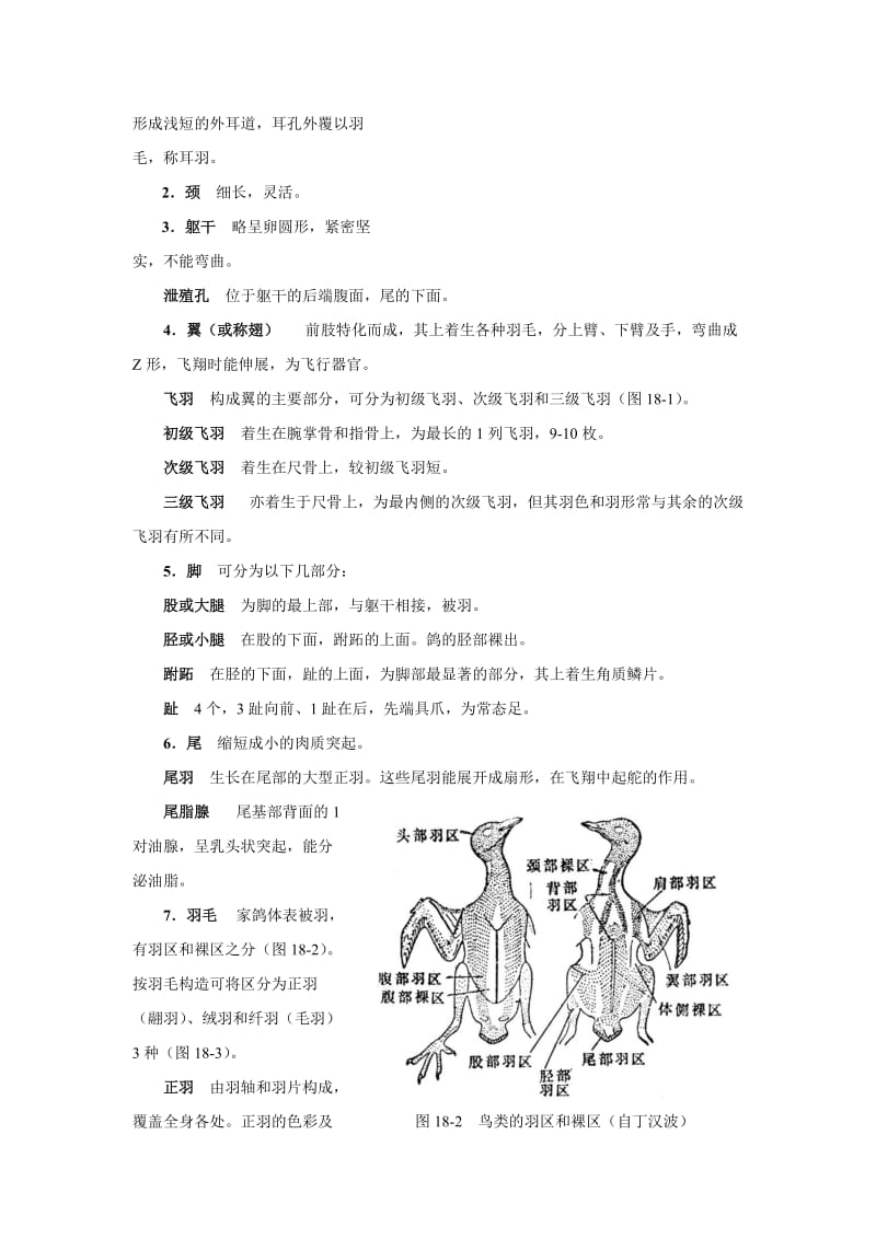 鸽子解剖.doc_第2页