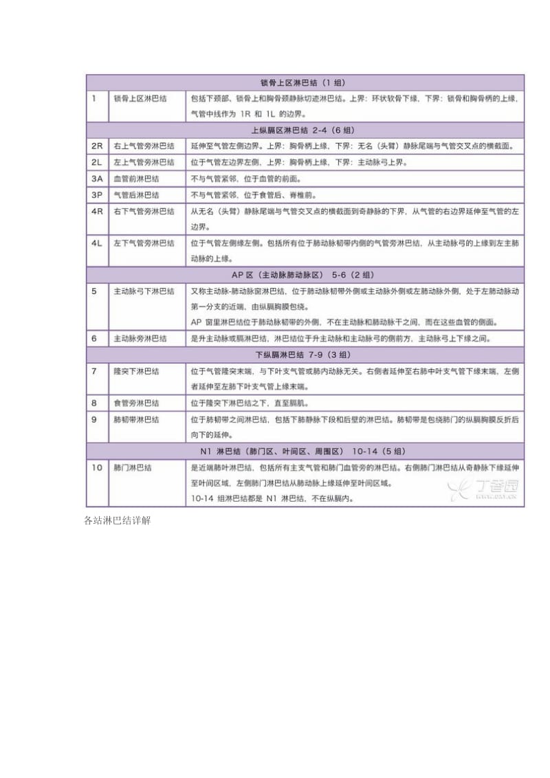 肺癌淋巴结图谱.doc_第2页