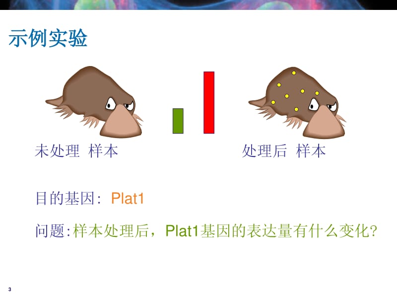 相对定量： ΔΔCT法和相对标准曲线法.pdf_第3页