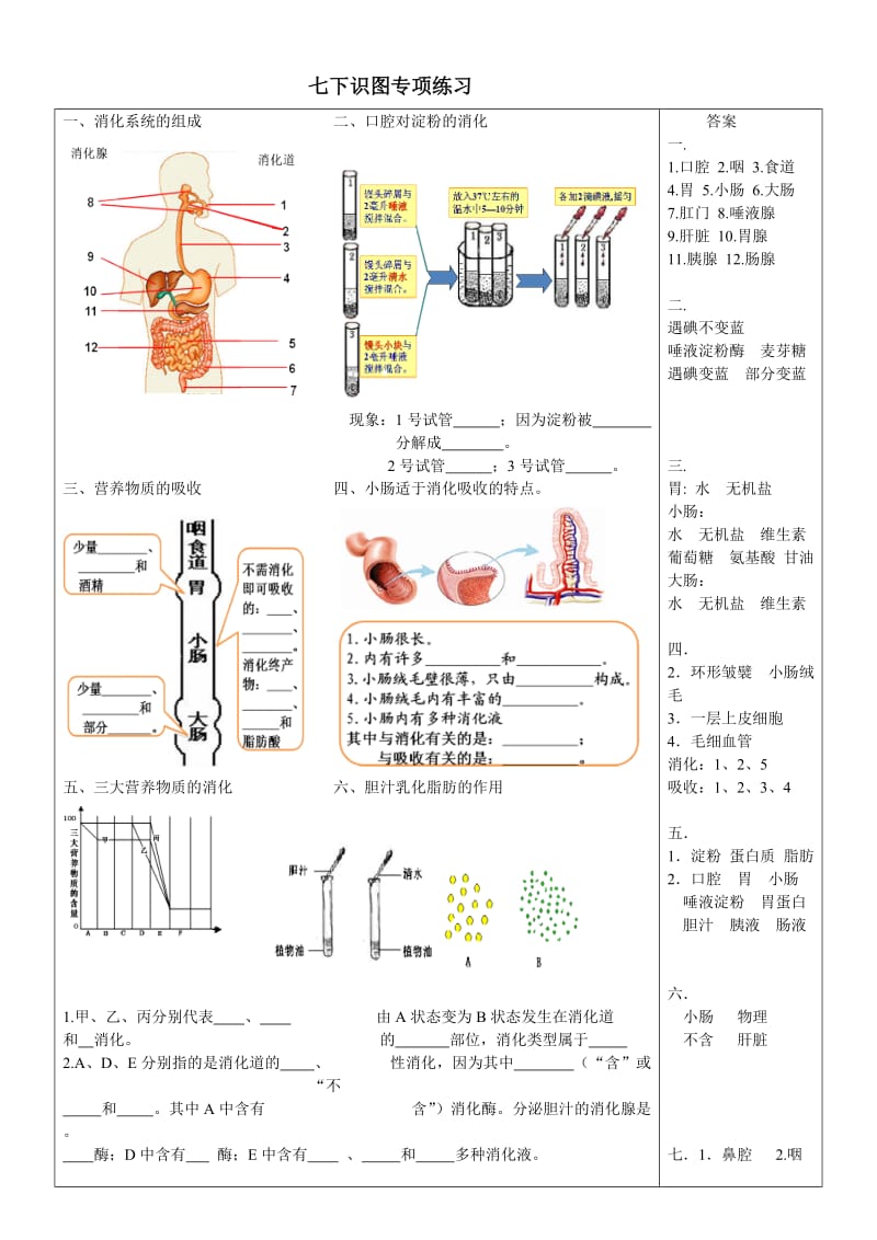 生物七下识图练习(带答案).doc_第1页