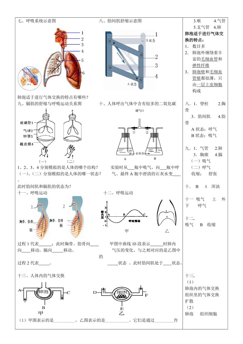 生物七下识图练习(带答案).doc_第2页