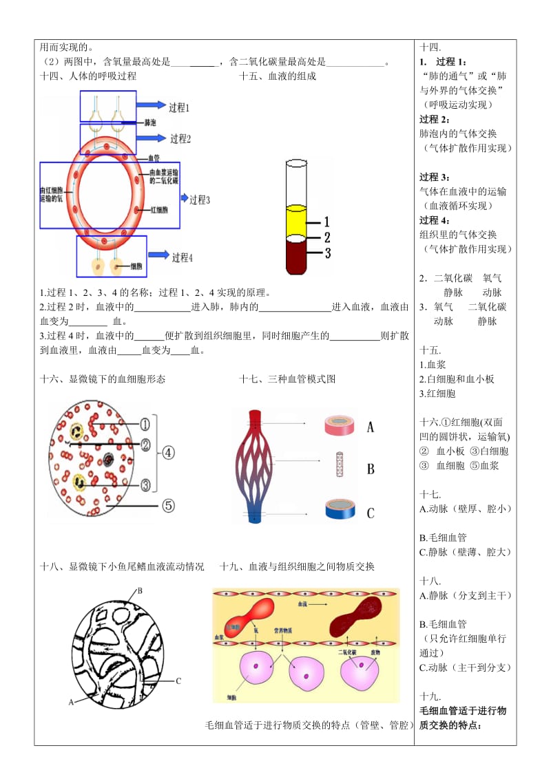 生物七下识图练习(带答案).doc_第3页