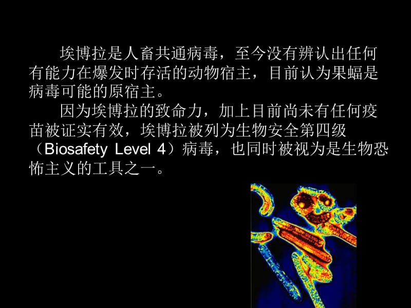 【PPT】埃博拉病毒.ppt_第3页