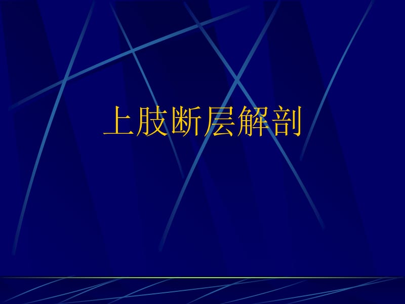 四肢断层解剖和CT、MRI.ppt_第2页