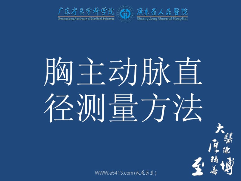 主动脉直径测量.ppt_第1页