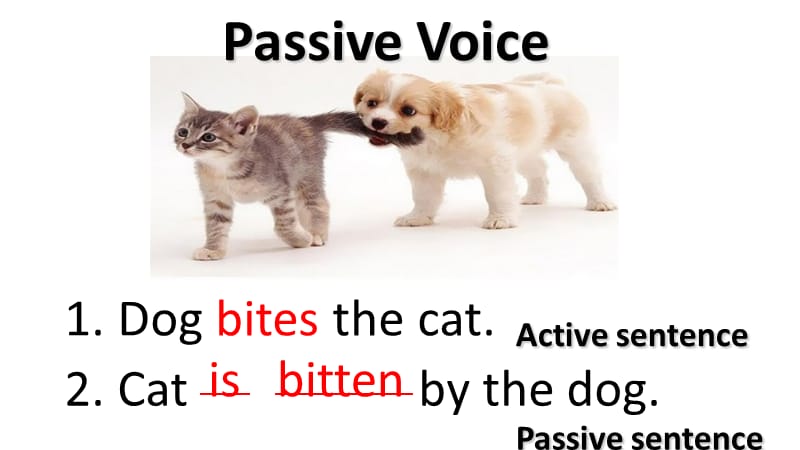 passive voice被动语态课件.ppt_第2页