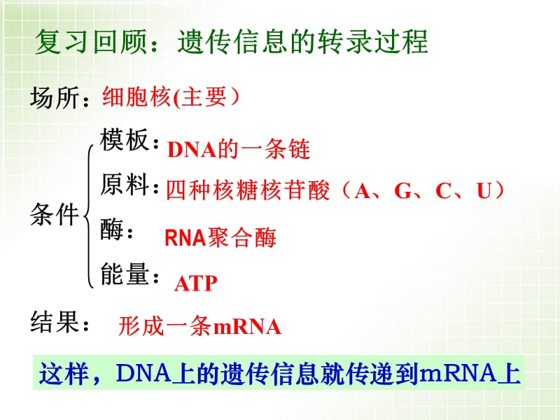 《遗传信息的翻译》.ppt_第2页