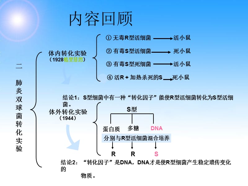 噬菌体侵染大肠细菌的实验(详细版).ppt_第1页