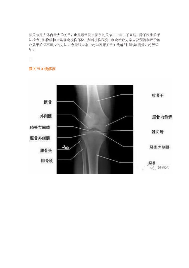 超详细的膝关节X线解剖及测量.pdf_第1页