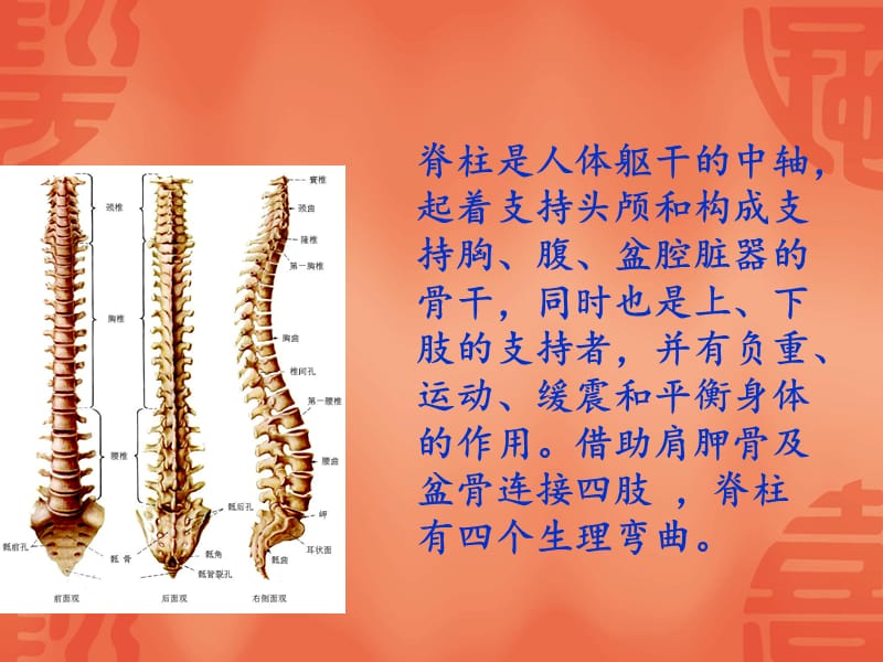 中医基础——背诊.ppt_第3页