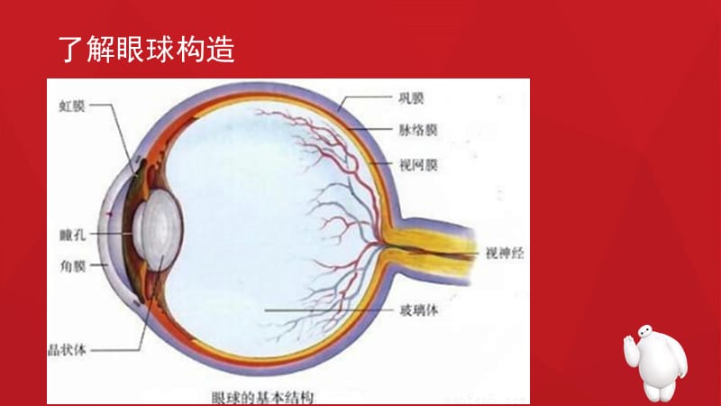 预防近视小常识.ppt_第3页