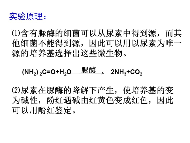 实验2分离以尿素为氮源的微生物.ppt_第3页