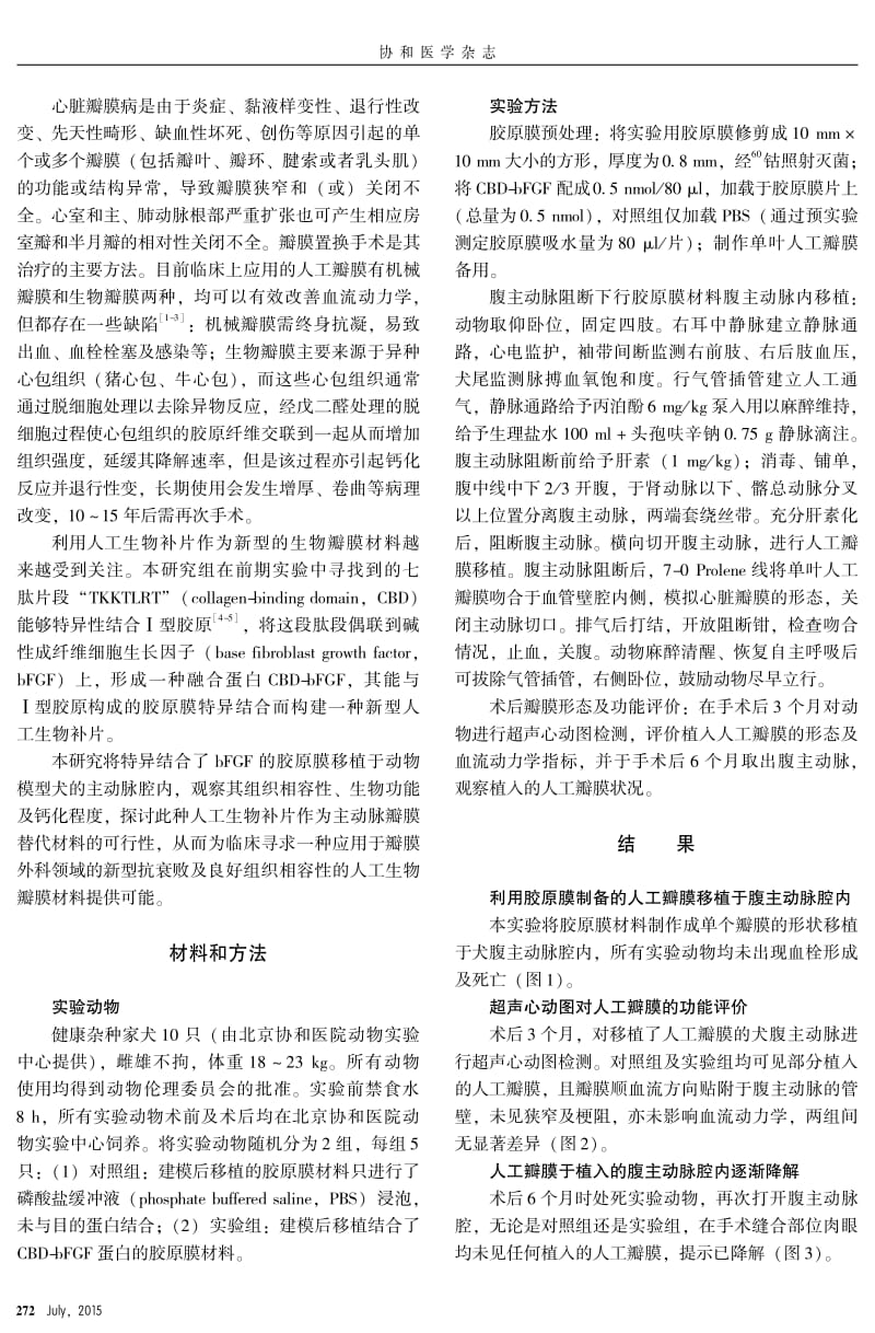 新型人工生物补片作为主动脉瓣替代材料的可行性.pdf_第2页