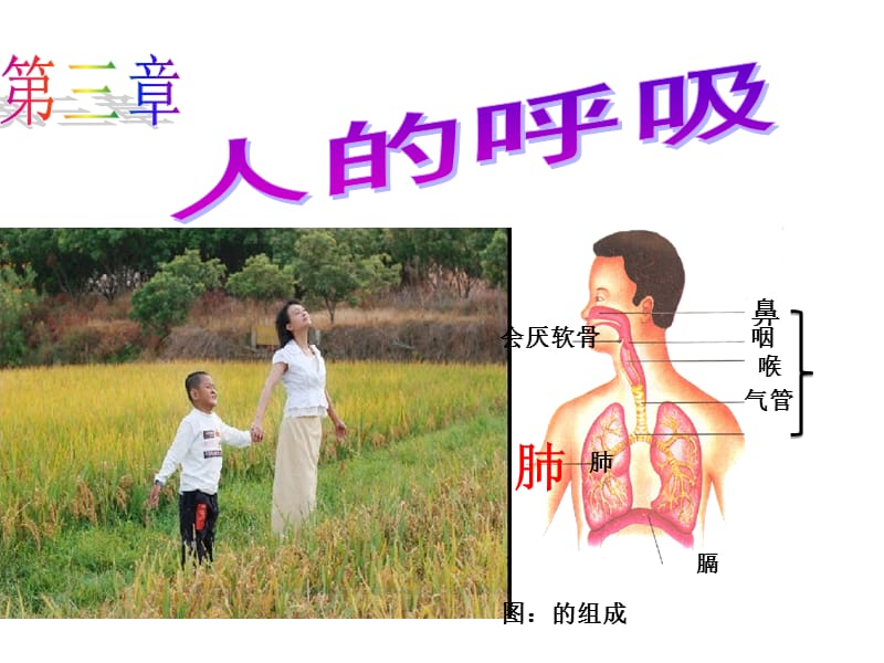 七下生物第三章第二节.ppt_第1页