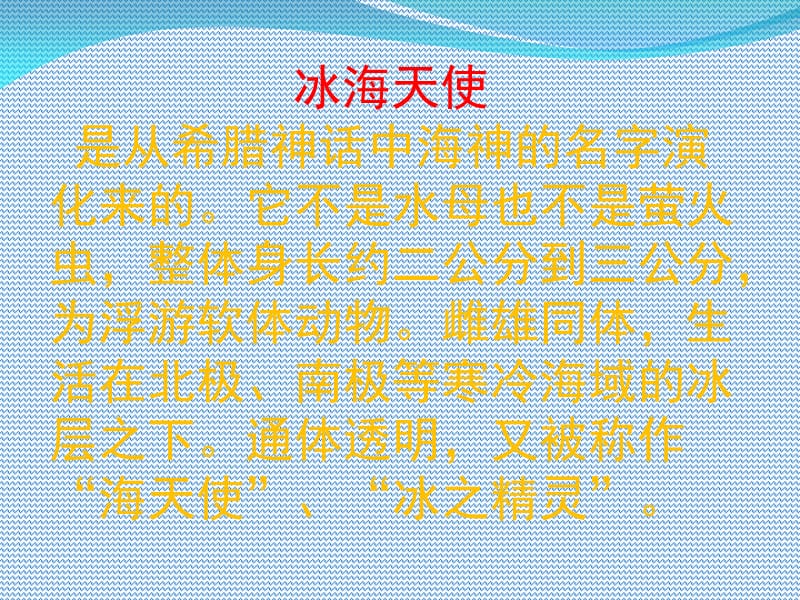 大开眼界的海洋生物.ppt_第3页