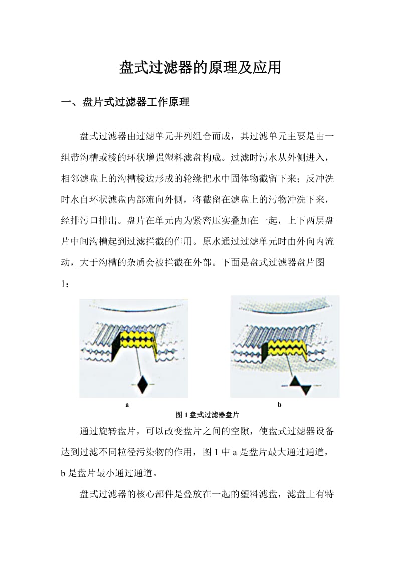 盘式过滤器的原理及应用.doc_第1页