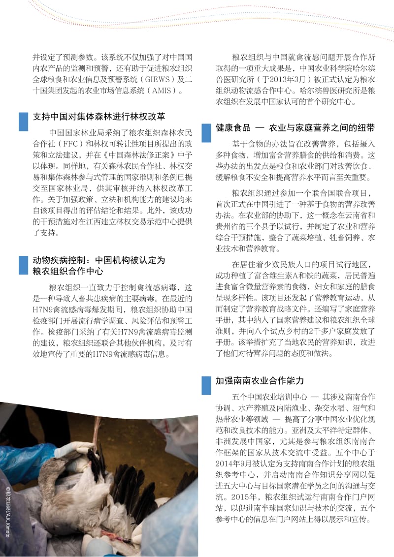 中国和粮农组织 - Food and Agriculture Organization of ….pdf_第2页