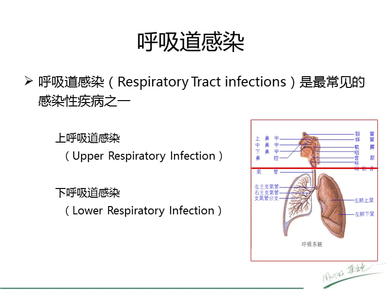 呼吸道病原体检测在临床中的应用.ppt_第3页