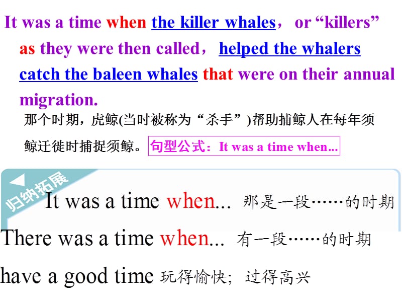 unit3 under the sea reading 知识点.ppt_第1页