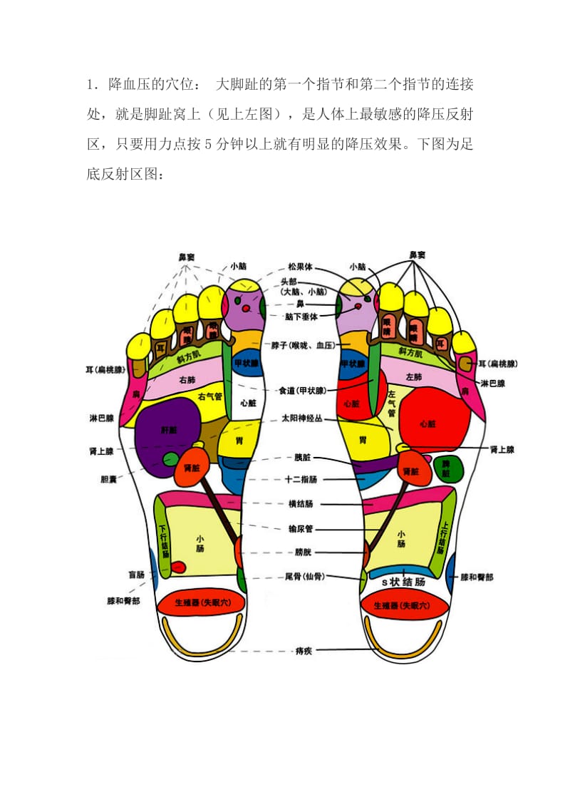 降血压有四个特效穴位.doc_第2页