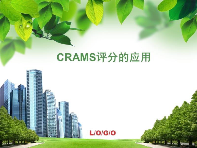 CRAMS评分表.ppt_第1页